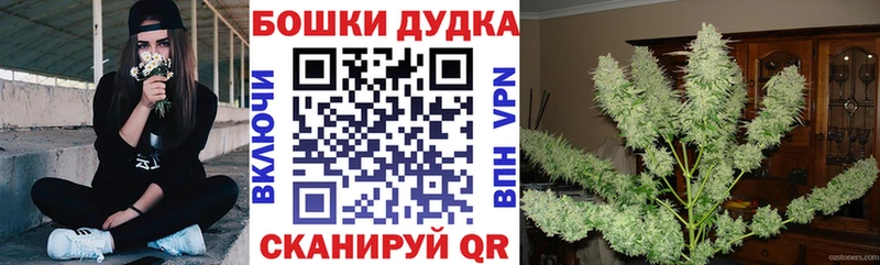 даркнет наркотические препараты  Калачинск  Бошки марихуана White Widow 